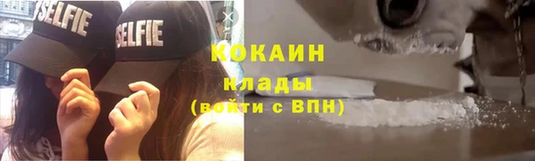 PSILOCYBIN Богородицк