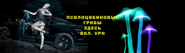 гашиш Богданович