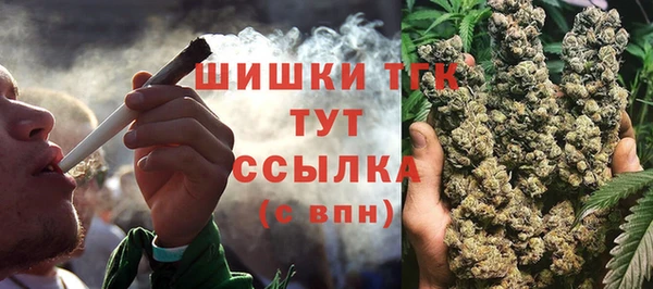 PSILOCYBIN Богородицк