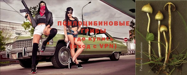 PSILOCYBIN Богородицк