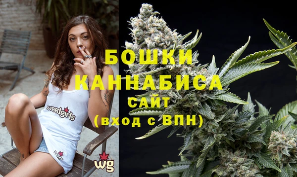 амфетамин Белокуриха