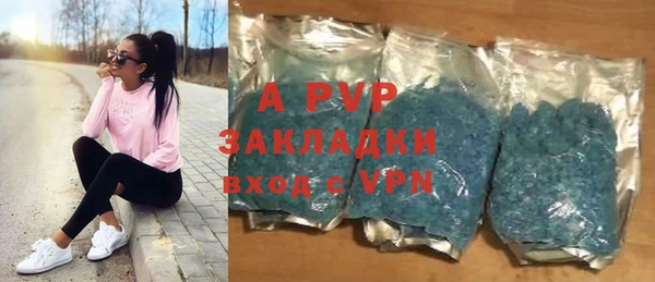 PSILOCYBIN Богородицк
