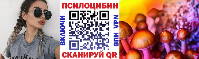 Купить  Новосибирск  Псилоцибиновые грибы прущие грибы 